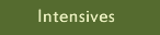 Mark-Hans Intensives